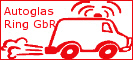 Autoglas Windschutzscheibe 181