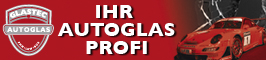 Autoglas Windschutzscheibe 297