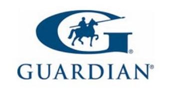 2016-08-vorschaubild-guardian-logo-339-189