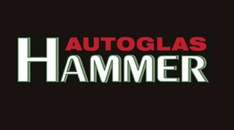 2016-11-29_vorschaubild-logo-hammer-339-189