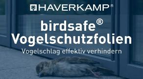 2026_03_10_v_b_haverkamp-vogelschutzfolie_autoglaser_de_folie_de_1200